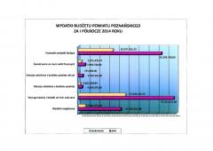 Wydatki budżetu Powiatu Poznańskiego za I półrocze 2014 roku