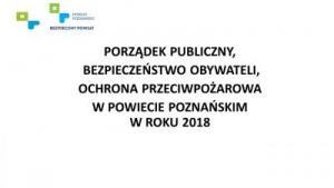 PORZĄDEK PUBLICZNY, BEZPIECZEŃSTWO, OCHRONA PRZECIWPOŻAROWA w POWIECIE w 2018 roku