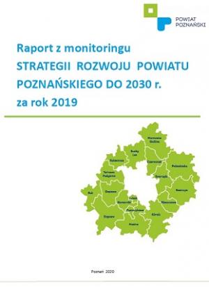 raport strategii 2019