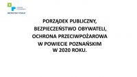 Porządek publiczny 2020 r.