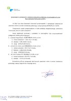 sprawozdanie.pdf