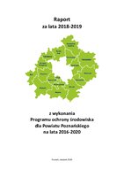Raport za lata 2018-2019.pdf