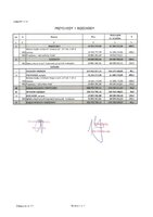 zai.11.pdf