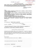 Michał Klingsporn_wył.pdf