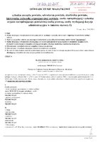 Anna Czerniak_wył.pdf
