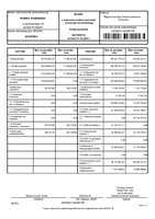 Bilans z wykonania budżetu.pdf