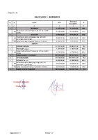 zal11 przych. i rozch. 2025.pdf