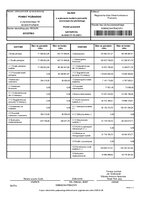 Bilans z wykonania budżetu.pdf