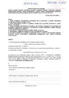 Hamrol Magdalena.pdf