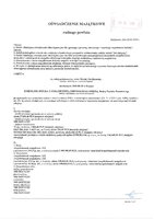 Artur Chwiłkowski.pdf